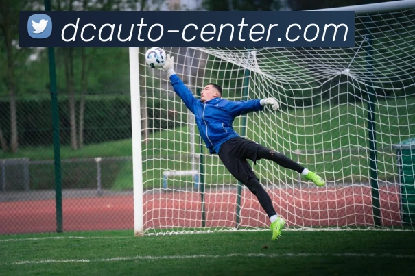 亚虎体育平台生态图