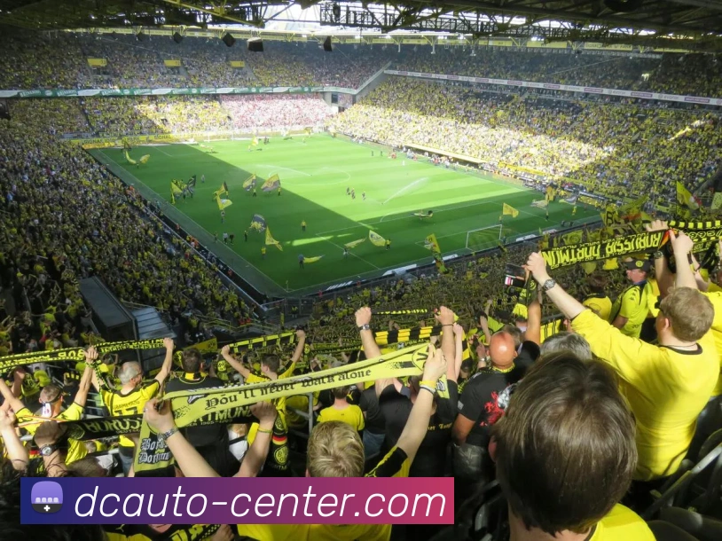 亚虎体育服务体系